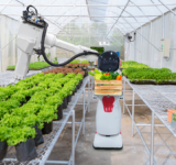 Kelsie McMillin from DigiKey writes about how IoT is driving sustainability across different industries including agriculture