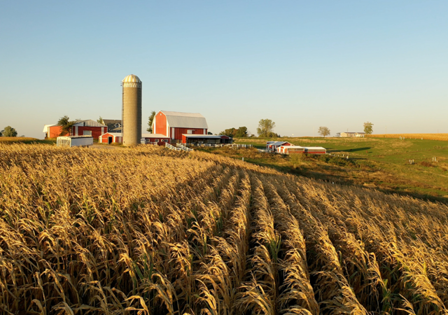 Climate smart agriculture solution deploys LoRaWAN
