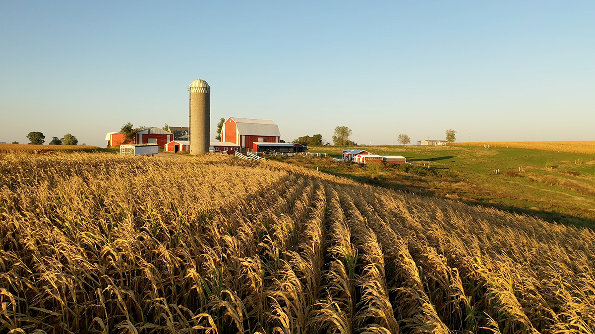 Climate smart agriculture solution deploys LoRaWAN
