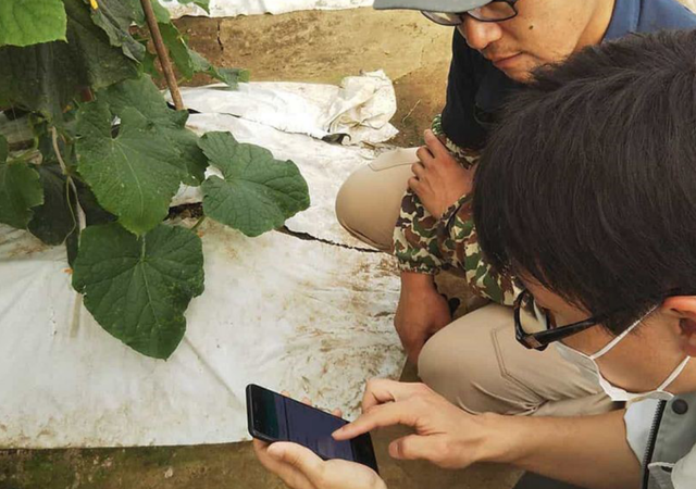 Murata supplies its soil sensors to TERRACE MILE to improve agricultural monitoring