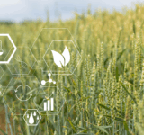 Emergent Connext has announced a new collaboration with Microsoft to build out a rural IoT network that extends reliable connectivity