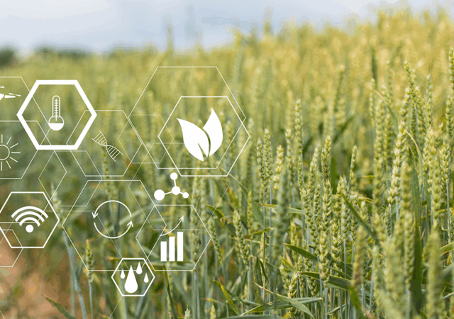 Emergent Connext has announced a new collaboration with Microsoft to build out a rural IoT network that extends reliable connectivity