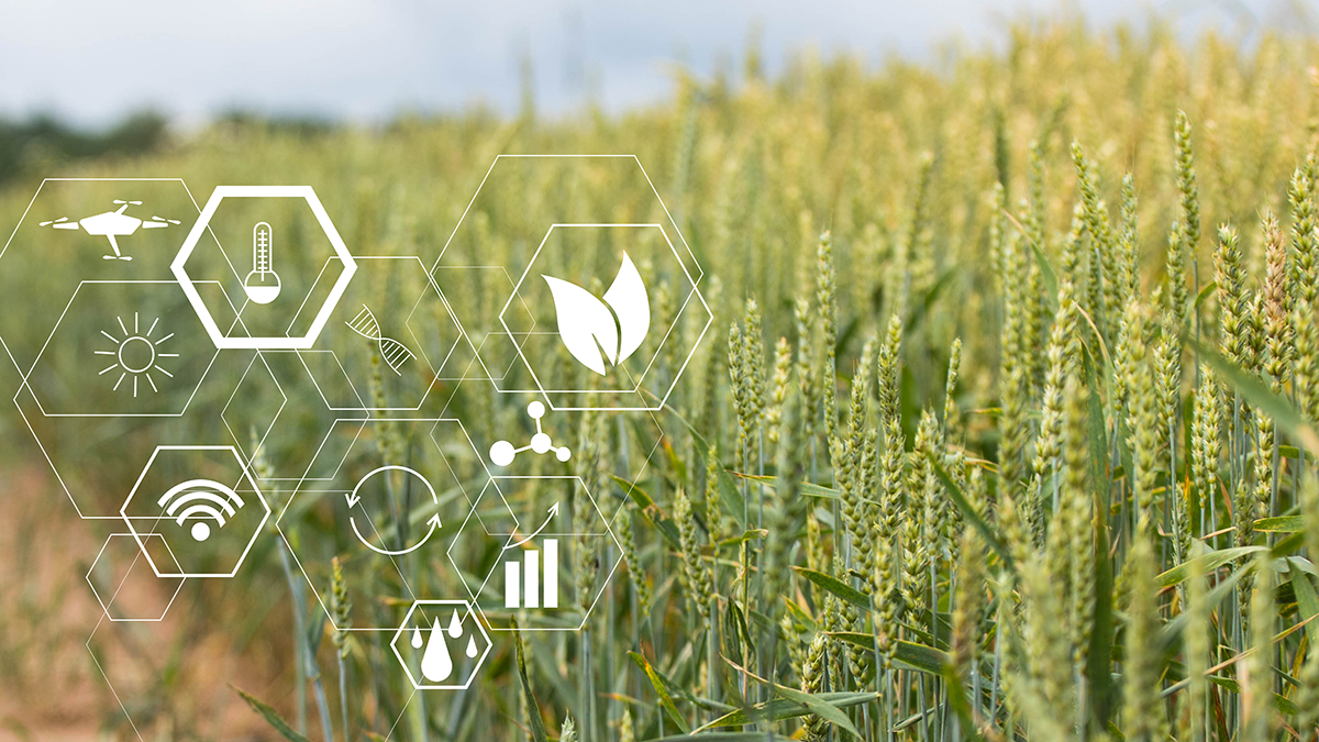 Emergent Connext has announced a new collaboration with Microsoft to build out a rural IoT network that extends reliable connectivity