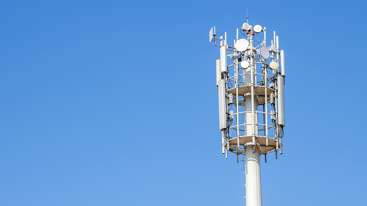 TXO has collaborated with the Carbon Trust to launch the Carbon Calculator, an industry-first tool for companies to quantify the carbon savings from buying and selling refurbished network equipment