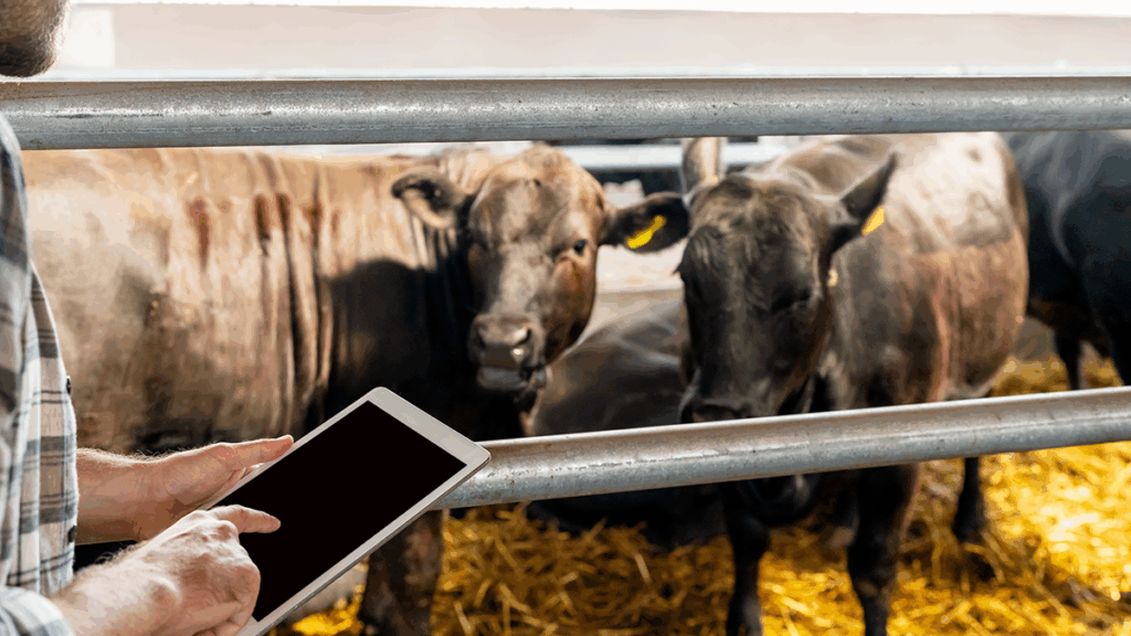 Soracom announced recently that BinSentry, an agriculture technology company, is harnessing Soracom’s IoT building blocks and connectivity