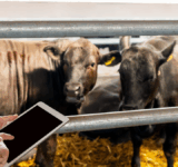 Soracom announced recently that BinSentry, an agriculture technology company, is harnessing Soracom’s IoT building blocks and connectivity