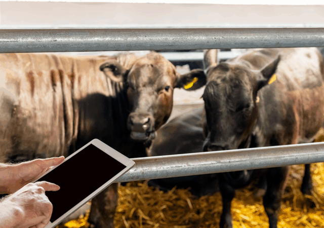 Soracom announced recently that BinSentry, an agriculture technology company, is harnessing Soracom’s IoT building blocks and connectivity