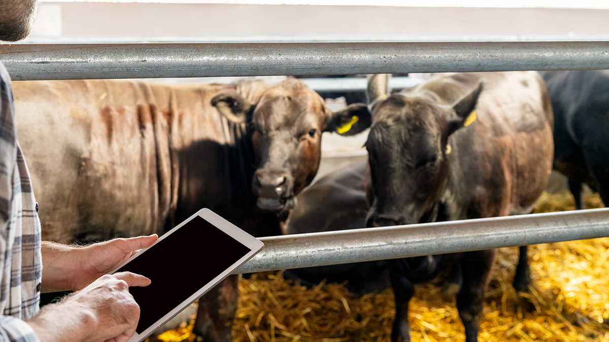 Soracom announced recently that BinSentry, an agriculture technology company, is harnessing Soracom’s IoT building blocks and connectivity