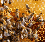 Quectel Wireless Solutions is proud to announce its support for Apiary Solutions, a provider of the iAPIS operations management platform