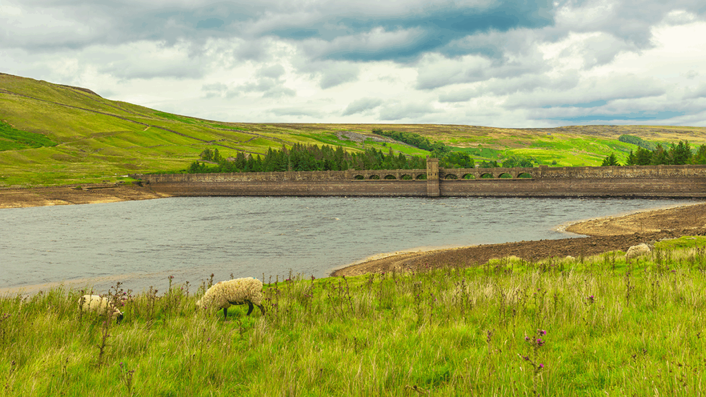 Netmore Group has partnered with Detectronic, a UK-based environmental and engineering company with a focus on helping clients