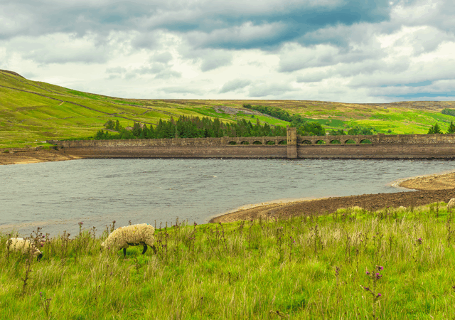 Netmore Group has partnered with Detectronic, a UK-based environmental and engineering company with a focus on helping clients