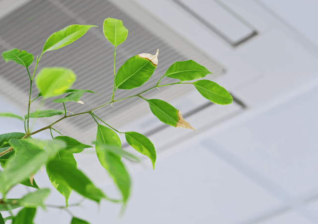 Pressac Communications has announced the launch of its latest LoRaWAN-enabled Indoor Air Quality (IAQ) sensor