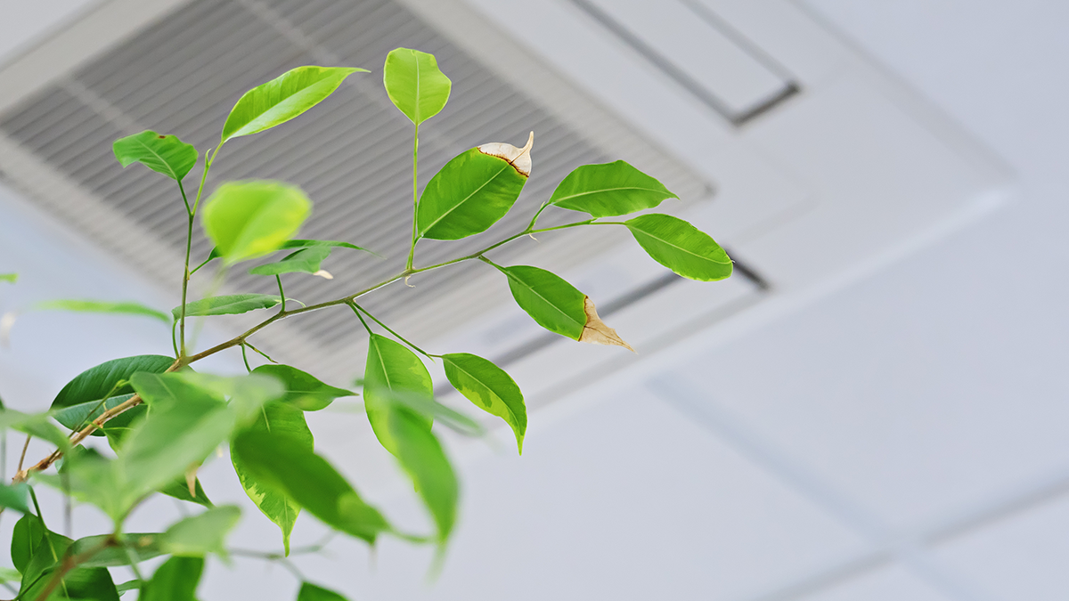 Pressac Communications has announced the launch of its latest LoRaWAN-enabled Indoor Air Quality (IAQ) sensor