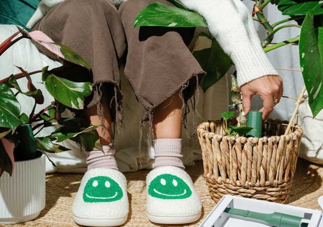 A new entrant to the smart home market is promising to give houseplants a voice. Plant With Willow, a UK-based start-up, has launched an intelligent plant-care system that uses sensors and data analysis to monitor the wellbeing of indoor greenery, offering real-time insights through a companion app.