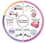 Researchers at Incheon National University have set out a detailed roadmap for a new class of flexible bioelectronics built from ultra-thin crystalline silicon, a material they argue could bridge the long-standing gap between high-performance semiconductor technology and the soft, dynamic environment of the human body.