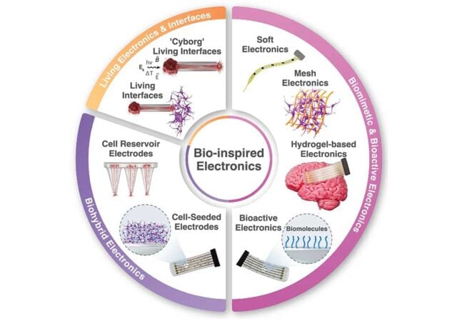 Researchers at Incheon National University have set out a detailed roadmap for a new class of flexible bioelectronics built from ultra-thin crystalline silicon, a material they argue could bridge the long-standing gap between high-performance semiconductor technology and the soft, dynamic environment of the human body.