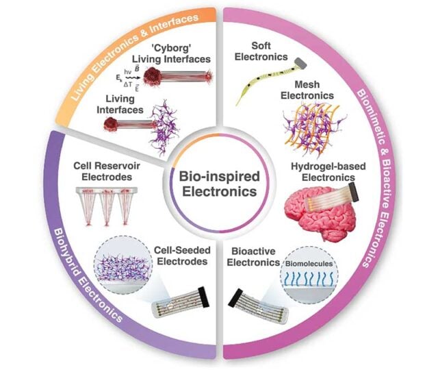 Researchers at Incheon National University have set out a detailed roadmap for a new class of flexible bioelectronics built from ultra-thin crystalline silicon, a material they argue could bridge the long-standing gap between high-performance semiconductor technology and the soft, dynamic environment of the human body.