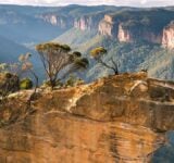 A satellite-connected sensor network will be deployed across Australia’s Greater Blue Mountains to monitor forest health and climate stress.