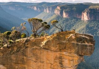 A satellite-connected sensor network will be deployed across Australia’s Greater Blue Mountains to monitor forest health and climate stress.