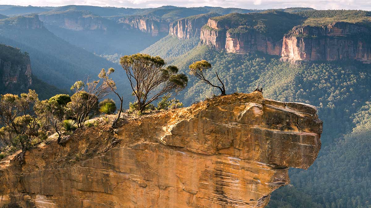 A satellite-connected sensor network will be deployed across Australia’s Greater Blue Mountains to monitor forest health and climate stress.