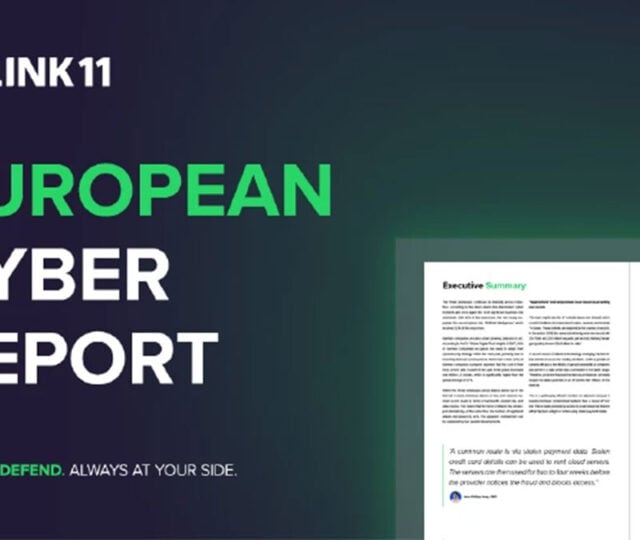 Link11's European Cyber Report finds new DDoS record